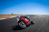 Panigale V4 R